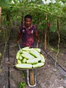 Tracing 5-Year Journey