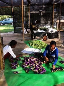 Tracing 5-Year Journey