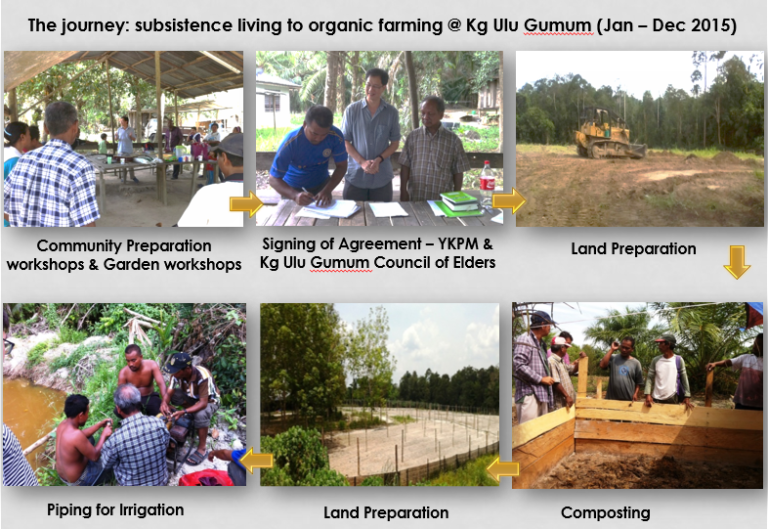 Tracing 5-Year Journey