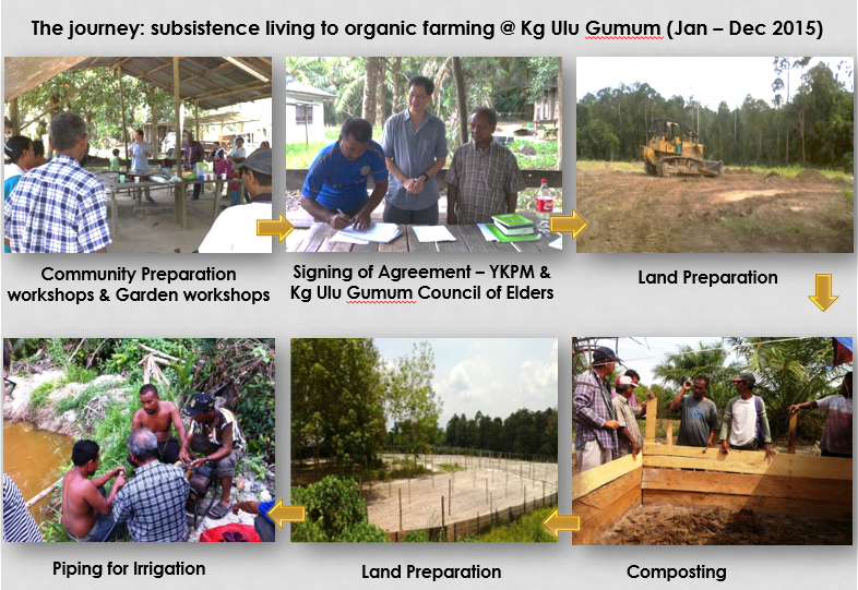 Tracing 5-Year Journey