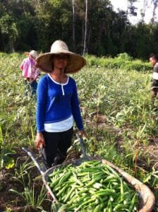 Tracing 5-Year Journey