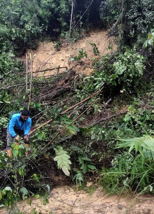 TNB workman clearing fallen trees at site of landslide.