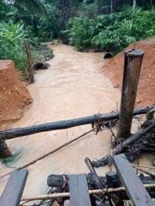 flood 1