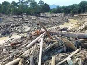 flood 1