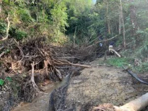 flood 1
