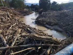 flood 1